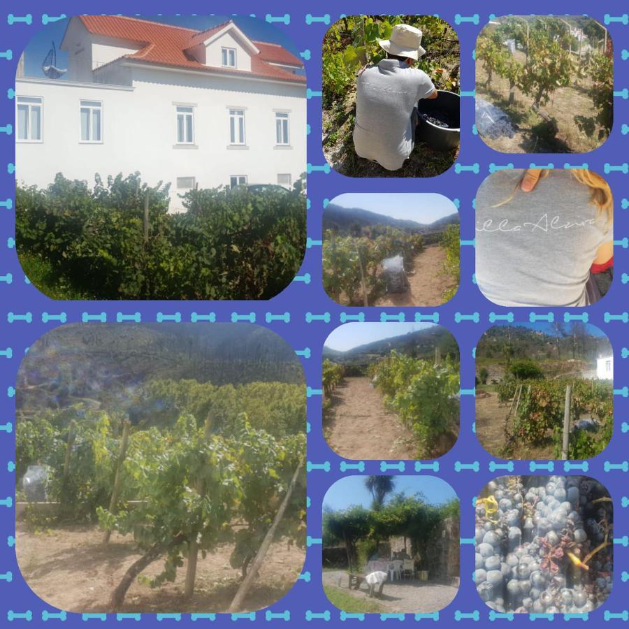 Villa Alzira Сейя Екстериор снимка